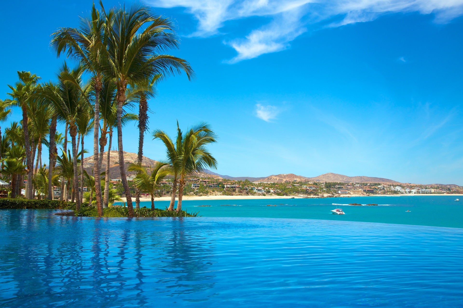 Tropical Destination