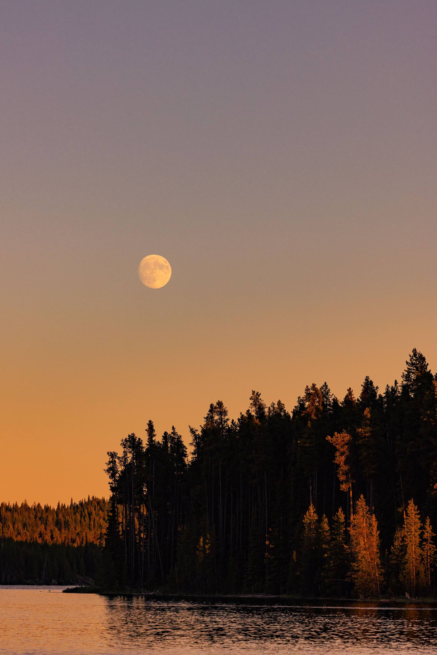 Rituales de Luna Llena / Luna Nueva